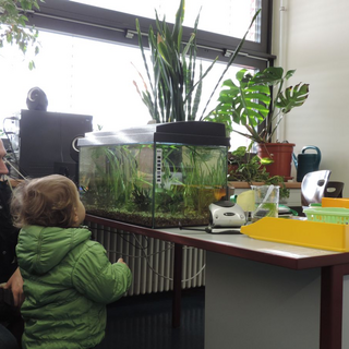 staunen-im-biologie-kabinett Montessori-Schulzentrum Leipzig - Neuigkeiten - Freude - Arbeit - Stolz